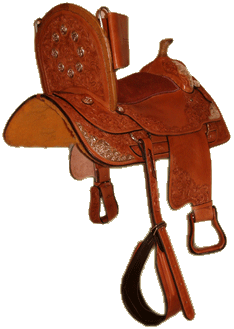 Therapy Saddle